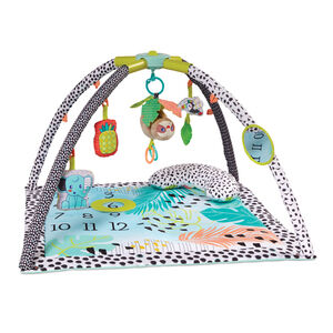 Tapis d'éveil 4-in-1 Milestones & Memories Twist & Fold  