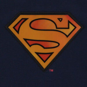 T-shirt manches courtes print lenticulaire Superman Warner pour garçon Main T-shirt manches courtes print lenticulaire Superman Warner pour garçon