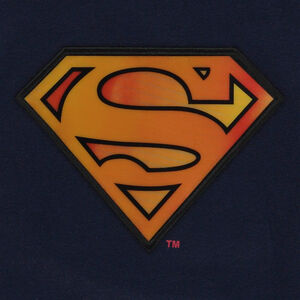 T-shirt manches longues print lenticulaire Superman Warner pour garçon Main T-shirt manches longues print lenticulaire Superman Warner pour garçon