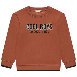 Sweat en molleton et contrecolle velours + broderie pour garçon 