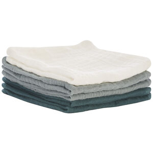 Lot de 5 serviettes en tétra 25 x 25 cm 