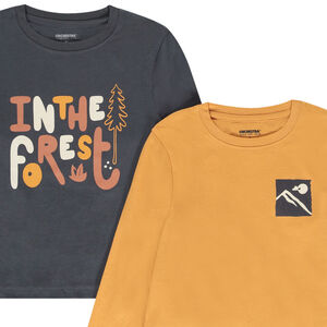 Lot de 4 t-shirts manches longues fantaisie pour garçon 