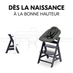 Set Chaise haute Alpha évolutieve avec Newborn Set Plus Dark Grey 